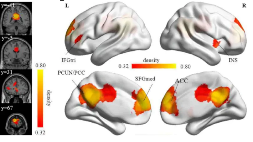 Rumination and Inhibitory control
